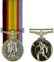 The Vietnam Medal