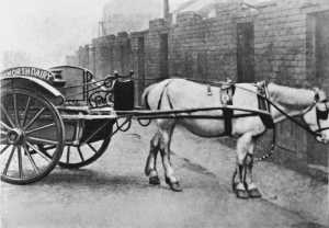 Jacks four-legged companion around the streets of Shields, Andrew