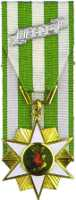 The Vietnamese Campaign Medal